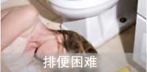 排便不(bù)暢